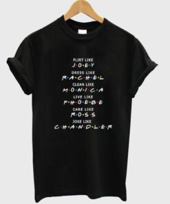 a friends tv show funny t-shirt  SU